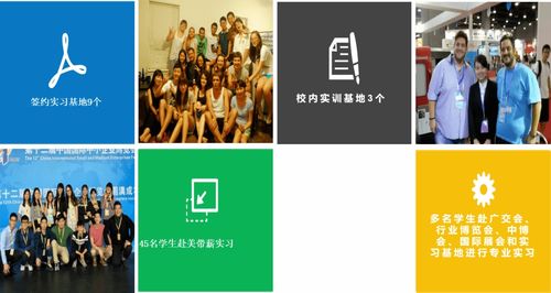 專業(yè)解讀 英語語言文化學院翻譯專業(yè)的核心價值與翻譯服務的社會角色